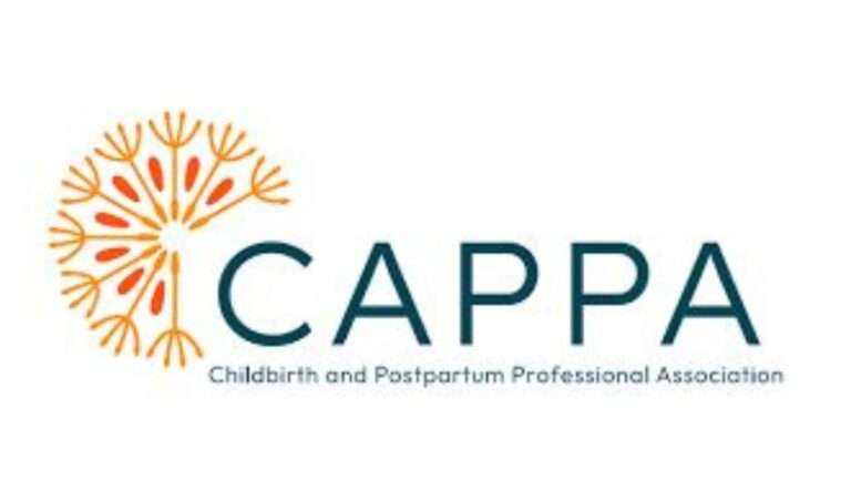 Travelbabyguru Certifications (5)